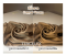 TENCELUX [สี Copper Brown] ผ้าปูที่นอนเทนเซล 3.5 - 12 ฟุต