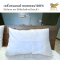 เครื่องนอนผ้าคอตตอน100% สีขาวพื้น ทอ 300เส้นด้าย (ปลีก)