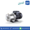 LEO