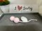 Cat vibrating egg wireless
