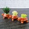 Miniatures Handmade Cactus Succulent Pot