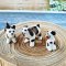 Ceramic Puppy Set 3 Pcs