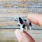 Miniature Ceramic Dog Figurines Set – Handcrafted 1:12 Scale