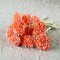 Mulberry Paper Flower Orange Gypsophila