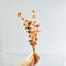 Miniatures Orange Flowers in Ceramic Vase