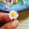 Set 8 Pcs. Mixed colors Daisy flowers Handmade Miniatures