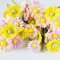 Handcrafted Polymer Clay Daisy Flowers 1:6 Scale Set 6 Pcs