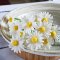 Handmade Miniatures White Daisy flowers 1/6 Scale