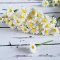 Handmade Miniatures White Daisy flowers 1/6 Scale
