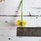 Miniatures Yellow Daisy Handmade flowers 1/6 Scale