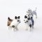 Dollhouse Miniatures Ceramic Figurine Animals Dog Puppy