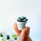 Miniatures Plant Cactus Pot