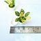 Handmade Miniatures Green Plant Pot Dollhouse Garden Decoration