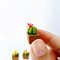 Miniatures Cactus Succulent Pot