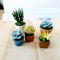 Miniatures Cactus Succulent Pot Dollhouse Garden Decoration