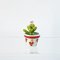 Miniatures Cactus Succulent Pot