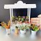 Dollhouse Miniatures Flower Plant Cart Shop Decoration