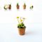 Miniatures White Flower Pot