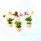 Handmade Miniatures Orchid Flower Pot