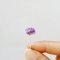 Purple Baby's Breath Mulberry Paper Flowers Crafts Supplies