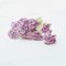 Gypsophila Mulberry Paper Flowers Scrapbooking Supplies Wholesale Lot 300 Pcs