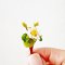 White Lotus Clay Flowers Handmade Miniatures