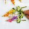 Miniatures Handmade Orchid Flowers 1:12 Scale
