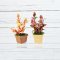 2Set Miniatures Flowers Plants Terracotta Pot Fairy Garden Decoration