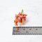 Handcrafted Miniature Succulent Plants Set of 5