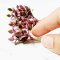 miniature succulents, dollhouse plants, handcrafted miniatures