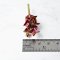 Handcrafted Miniature Succulent Plants Set of 5