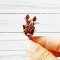 Handcrafted Miniature Succulent Plants Set of 5