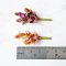 Handcrafted Miniature Succulent Plants Set of 10