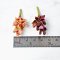 Handcrafted Miniature Succulent Plants Set of 10