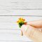 Miniatures Handmade Daffodill Flowers 1:12 Scale
