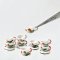 Ceramic Handmade Tulip Hand painted Coffee Tea Cups Saucers x5 Set
