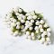 Miniatures Handmade White Tulip Flowers