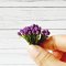 Miniatures Purple Tulip Flowers