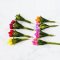 Set of 16 Miniature colorful Tulip Flowers