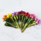 Set of 16 Miniature colorful Tulip Flowers