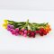 Set of 16 Miniature colorful Tulip Flowers