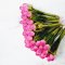 Handmade Miniatures Pink Tulip Flowers