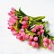 Handmade Miniatures Pink Tulip flowers