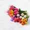 Mixed 12 Pieces Colorful Tulip flowers Fairy Garden Doll house Decoration
