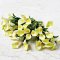 Handmade Miniatures Flowers Yellow Calla Lily