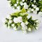 White Rose Miniatures Handmade Clay Flowers