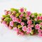 Pink Rose Miniatures Handmade Clay Flowers
