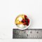 Miniatures Waffle Mixed Burry with Ice cream on Plate