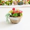 Miniatures Handmade Succulent Plants Flowers in Ceramic Pot