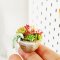 Miniatures Handmade Succulent Plants Flowers in Ceramic Pot
